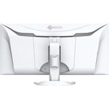 EIZO FlexScan EV3450XC-WT 34.1" Curved UltraWide monitor Wit, 2x HDMI, DisplayPort, 2x USB-A, USB-B, 2x USB-C, RJ-45