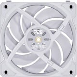 Lian Li UNI FAN P28 case fan Wit, 4-pins PWM fan-connector