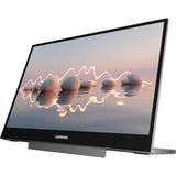 Lenovo L16 16" monitor Zwart, 2x USB-C