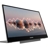 Lenovo Lenovo L16 Monitor 16"  Zwart, 2x USB-C