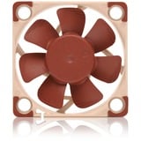 Noctua NF-A4x10 24V PWM case fan bruin/beige