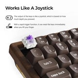Keychron K2HE All-Wood Special Edition mechanisch toetsenbord Houtkleur, US lay-out (QWERTY), Gateron Double-Rail Magnetic Nebula, 75%, Gateron Double-Rail Magnetic, OSA PBT double-shot, hot swap, Bluetooth 5.2 | USB-C