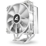 Sharkoon A40 RGB cpu-koeler Wit, 4-pins PWM fan-connector