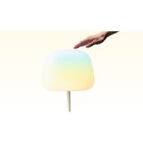 Govee Lantern Floor Lamp S verlichting Wit