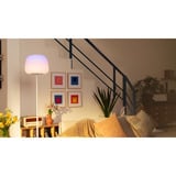Govee Lantern Floor Lamp S verlichting Wit