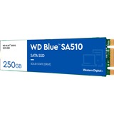 WD Blue SA510 250 GB SSD Blauw/wit, WDS250G3B0B, M.2 2280