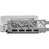 ASRock  grafische kaart Zwart