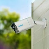Reolink P430 beveiligingscamera Wit