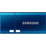 SAMSUNG Type-C 256 GB usb-stick Blauw, MUF-256DA/APC, USB-C 3.2 Gen 1 (5 Gbit/s)