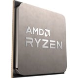 AMD AMD Ryzen 5 5600X        3600 AM4 TRAY socket AM4 processor Tray