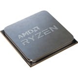 AMD AMD Ryzen 5 5600X        3600 AM4 TRAY socket AM4 processor Tray