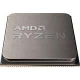 AMD AMD Ryzen 5 5600X        3600 AM4 TRAY socket AM4 processor Tray