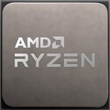 AMD AMD Ryzen 5 5600X        3600 AM4 TRAY socket AM4 processor Tray