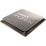 AMD AMD Ryzen 5 5600X        3600 AM4 TRAY socket AM4 processor Tray