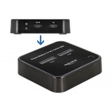 DeLOCK M.2 Docking Station voor 2x M.2 SATA SSD Zwart