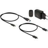 DeLOCK M.2 Docking Station voor 2x M.2 SATA SSD Zwart