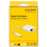 DeLOCK USB-C > Gigabit LAN RJ-45 + PD adapter Wit, 0,115 meter