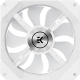 EKWB EK-Quantum Impulse 120 D-RGB - White (40 case fan Wit