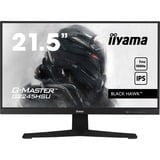 iiyama G-Master Black Hawk G2245HSU-B2 22" gaming monitor Zwart, 100 Hz, HDMI, DisplayPort, USB, Audio, Adaptive Sync