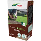 DCM Graszaad Plus Herstel 1,2 kg zaden Tot 80 m²