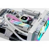 Corsair 32 GB DDR4-3600 Kit werkgeheugen Wit, CMH32GX4M2D3600C18W, Vengeance RGB PRO SL, XMP 2.0