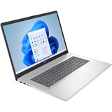 HP 17 (cn4009nb) 17.3" laptop Zilver | Core 3 100U | Intel Graphics | 8 GB | 512 GB SSD
