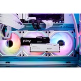 Kingston FURY 64 GB DDR5-6000 Kit werkgeheugen Wit, KF560C36BWEAK2-64, Renegade RGB, EXPO, XMP