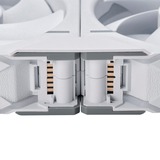 Phanteks D30-120 PWM Regular case fan Wit, 3 stuks, 4-pins PWM fan-connector