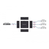 DeLOCK S/PDIF TOSLINK Switch 1 In 3 Out splitter & switches Zwart