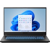 Medion ERAZER Defender P15 MD62305 17.3" gaming laptop Zwart | Ryzen 7 5800H | RTX 3060 | 16 GB | 1 TB SSD