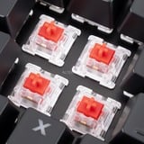 Sharkoon SKILLER SGK40 RGB mechanisch gaming toetsenbord Zwart, BE lay-out (AZERTY), Huano Red, 100%, RGB leds