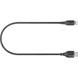 Rode Microphones USB-adapterkabel SC21, USB-C-stekker > Lightning-stekker Zwart, 30 cm