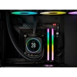 Corsair 64 GB DDR5-6000 Kit werkgeheugen Zwart, CMH64GX5M2B6000C30, Vengeance RGB, XMP