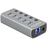 DeLOCK USB 3.2 Gen 1 Hub met 4 poorten usb-hub Grijs