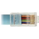 DeLOCK USB-A 2.0 naar Serial RS-232 RJ-45 kabel Lichtblauw, 3 meter