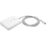 Shelly  watermelder Wit