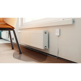 Shelly  watermelder Wit