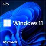 Microsoft Windows 11 Pro (Engelstalig) software OEM, Engels