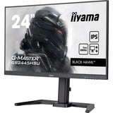 iiyama G-Master Black Hawk GB2445HSU-B2 24" gaming monitor Zwart, 100 Hz, HDMI, DisplayPort, USB, Audio, Adaptive Sync