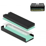 DeLOCK Koellichaam voor M.2 SSD 2280 heatsink Zwart