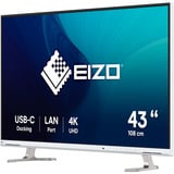 EIZO FlexScan EV4340X-WT 42.5" 4K UHD monitor Wit, 2x HDMI, DisplayPort, 2x USB-A, USB-B, 2x USB-C, RJ-45