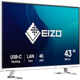 EIZO  42.5" 4K UHD monitor Wit