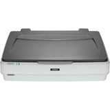 Epson Expression 12000XL flatbedscanner Grijs
