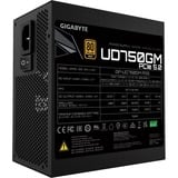 GIGABYTE GP-UD750GM PG5 750W voeding  Zwart, 1x 12VHPWR, 4x PCIe, Kabel-Management