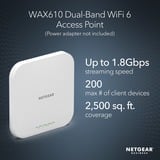 Netgear WAX610 access point Wit
