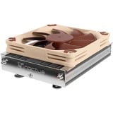 Noctua NH-L9a-AM5 cpu-koeler Zilver/beige
