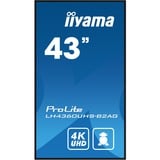 iiyama ProLite LH4360UHS-B2AG 42.5" 4K Ultra HD Public Display Zwart, 4K UHD, HDMI, LAN, Audio, USB, WLAN, Android