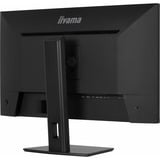 iiyama ProLite XB3294UHSCP-B1 31.5" 4K UHD gaming monitor Zwart, HDMI, DisplayPort, USB-C, LAN, Audio