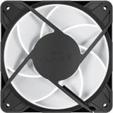 ARCTIC Arctic P12 Pro A-RGB 3-pack bk case fan Zwart