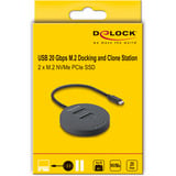 DeLOCK USB-C M.2 dockingstation voor 2x M.2 NVMe PCIe SSD Zwart, met kloonfunctie